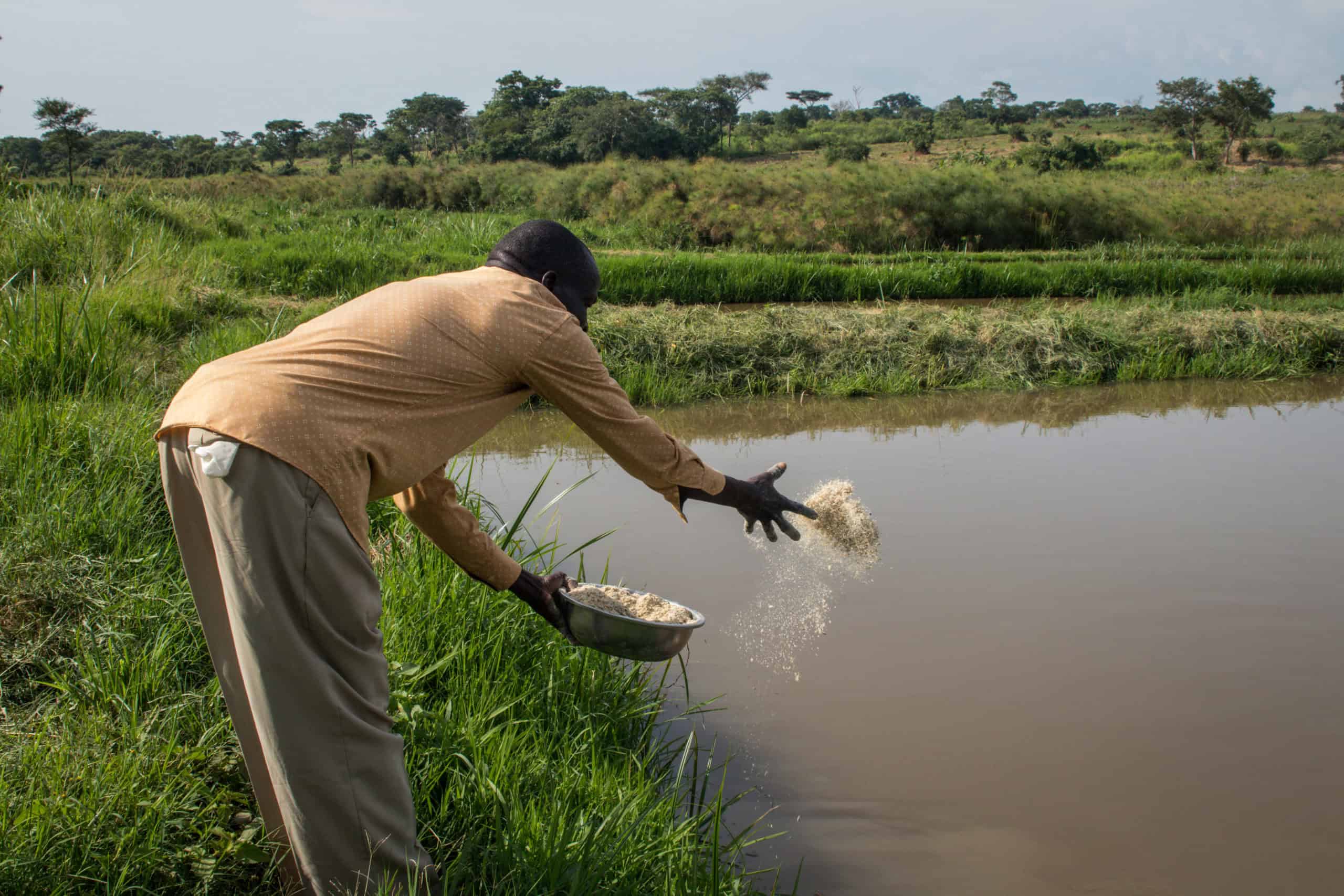 Caritas Uganda jobber med matsikkerhet og forser folk i nord-uganda med jordbrukstekniker og kunnskap om fiskeoppdrett.